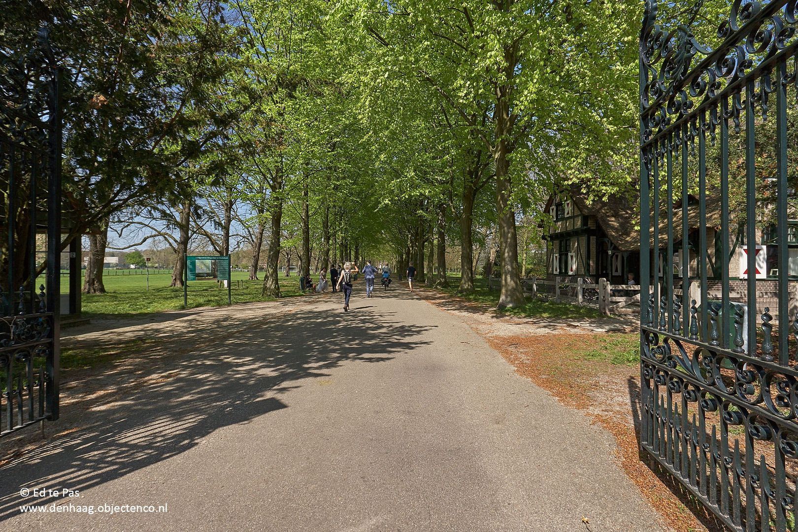 Pieter Meinersstraat 46, Den Haag foto-36 blur