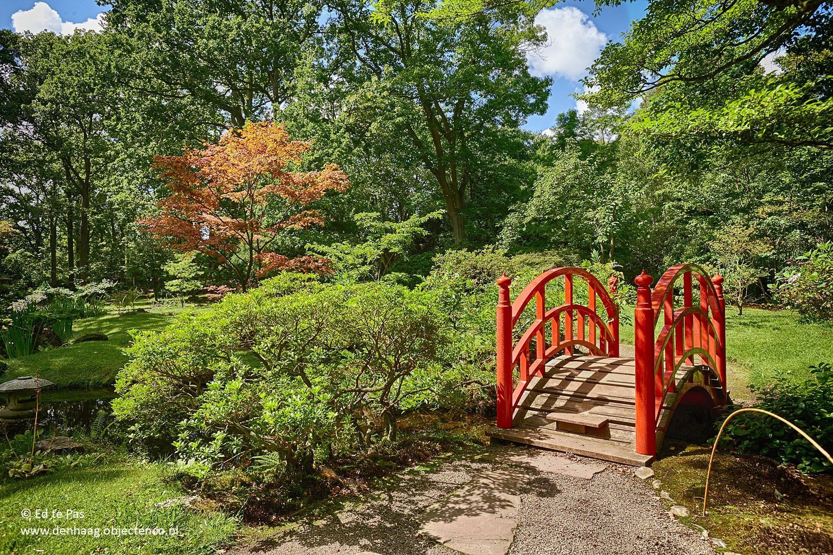 Pieter Meinersstraat 46, Den Haag foto-38 blur