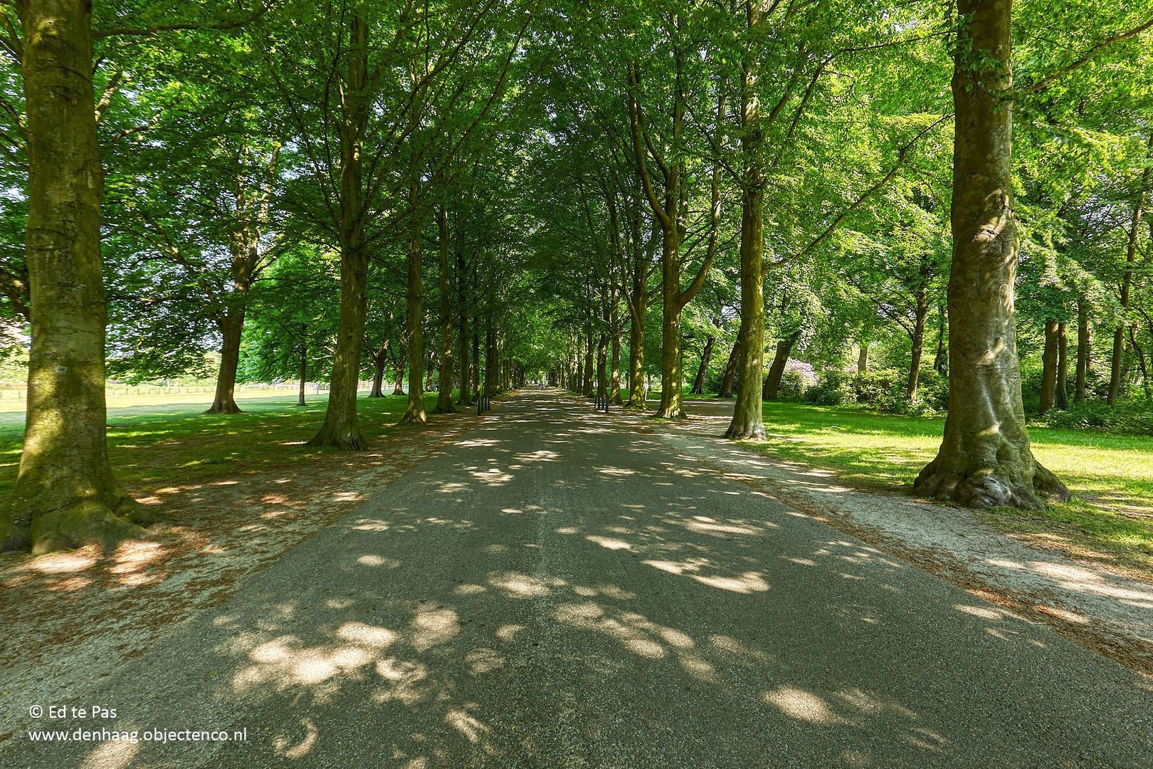 Pieter Meinersstraat 46, Den Haag foto-37 blur