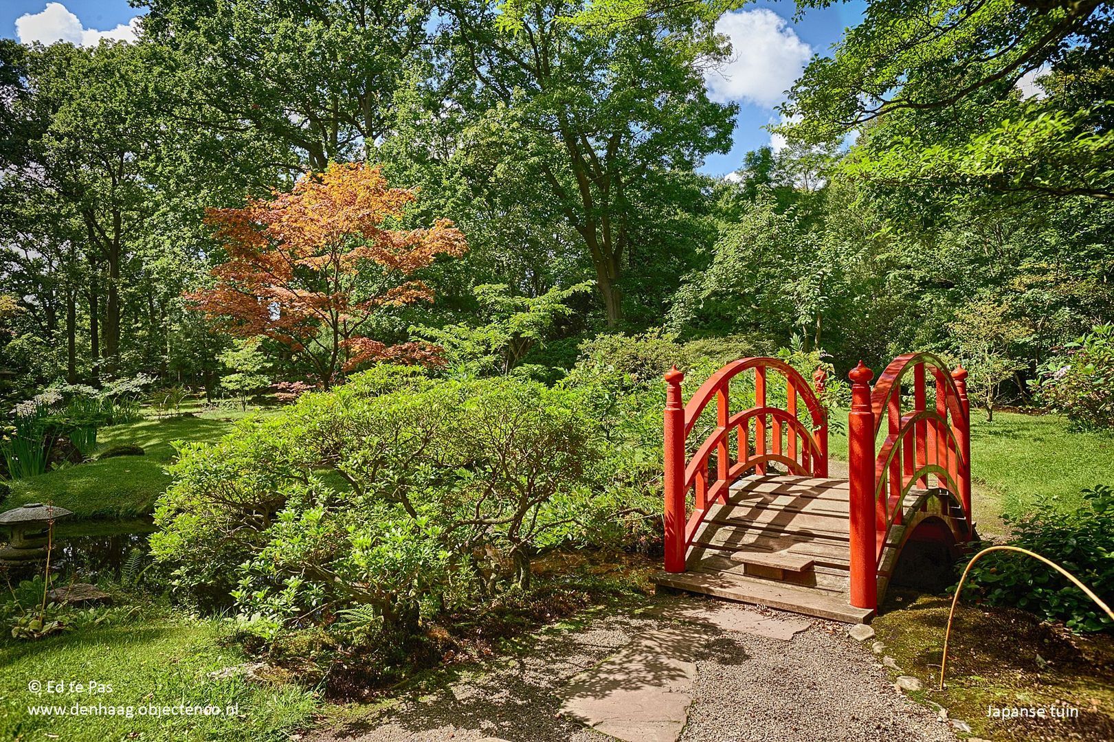 Van Alkemadelaan 181, Den Haag foto-40 blur