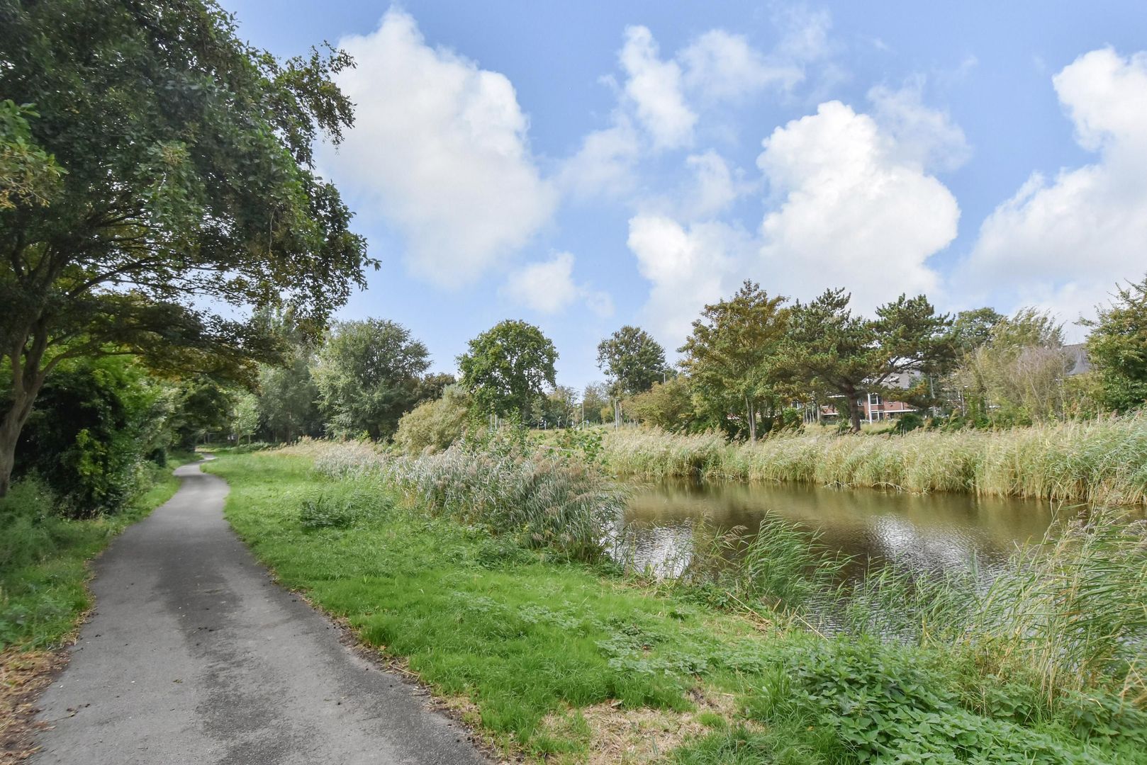 Balsemienlaan 242, Den Haag foto-51 blur