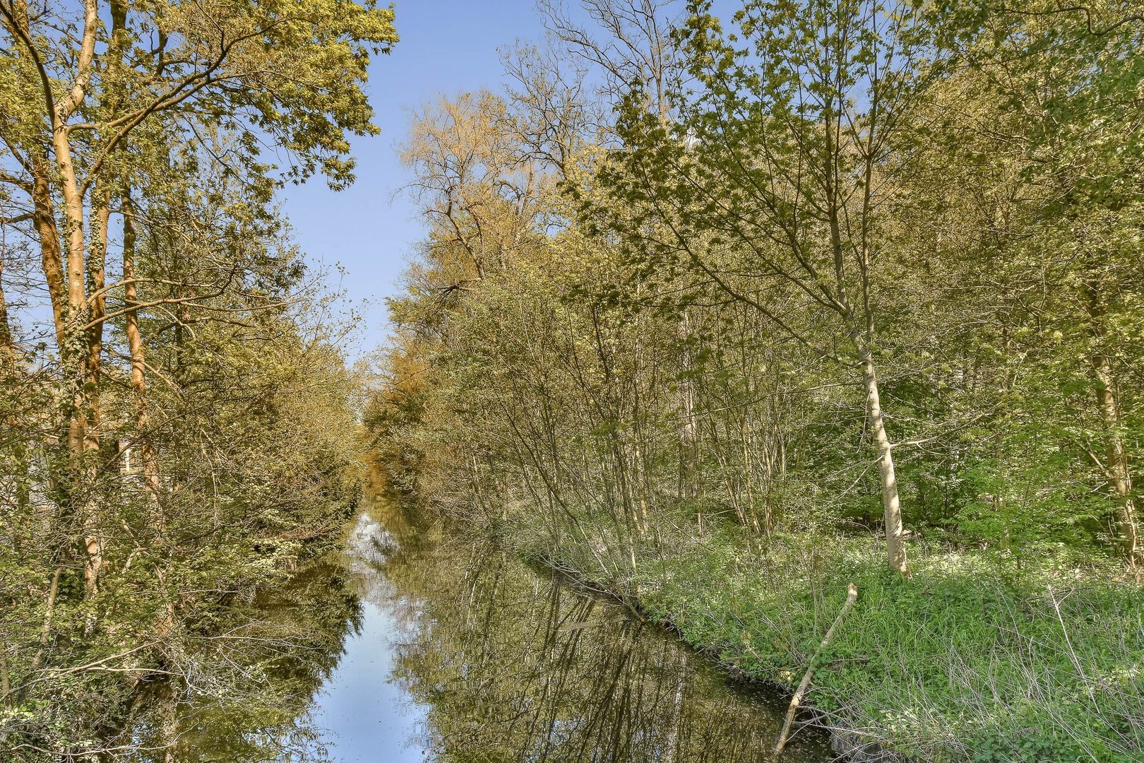 Laan van Clingendael 93, Den Haag foto-22 blur