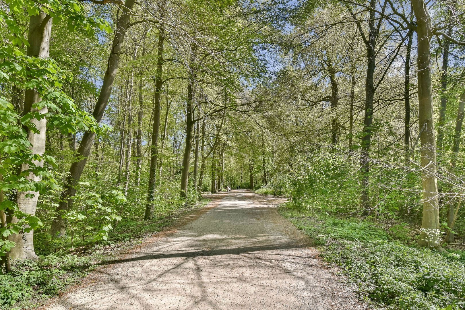 Laan van Clingendael 93, Den Haag foto-23 blur