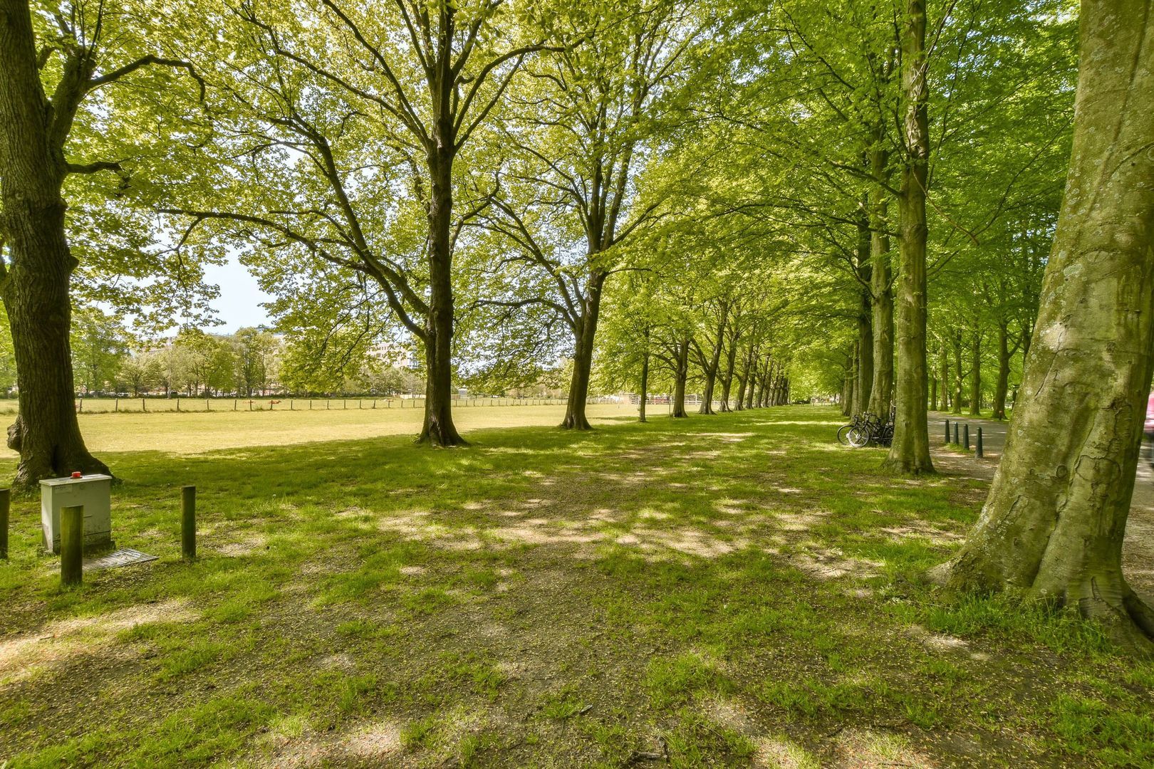 Laan van Clingendael 93, Den Haag foto-24 blur