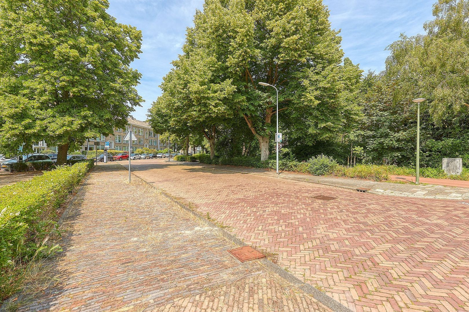 Ary Schefferstraat 229, Den Haag foto-44 blur