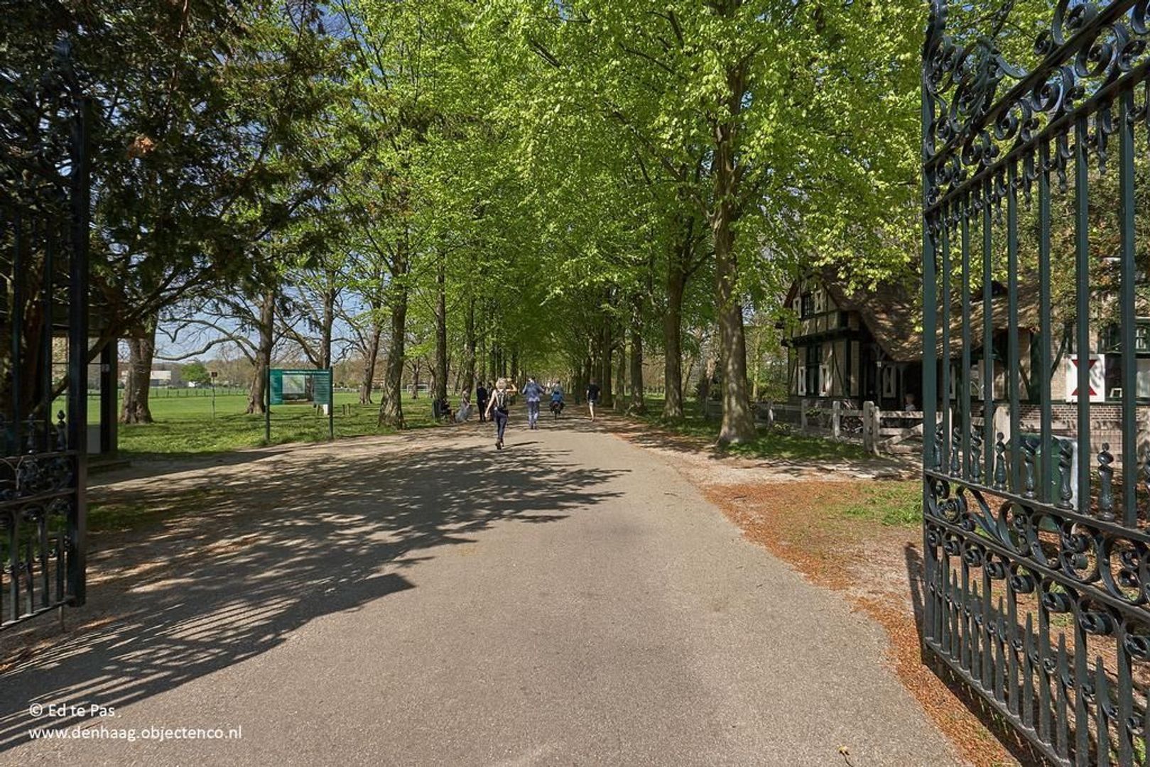 Pieter Meinersstraat 46, Den Haag foto-24 blur