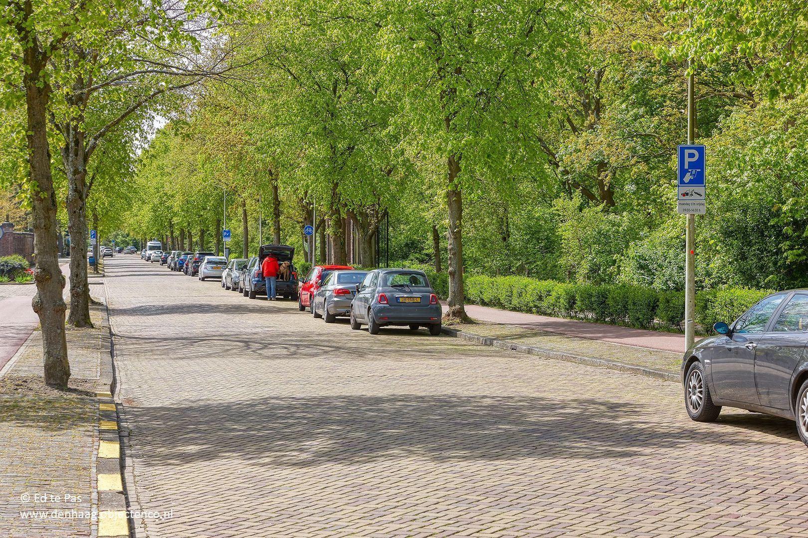 Sumatrastraat 33 A, Den Haag foto-27 blur