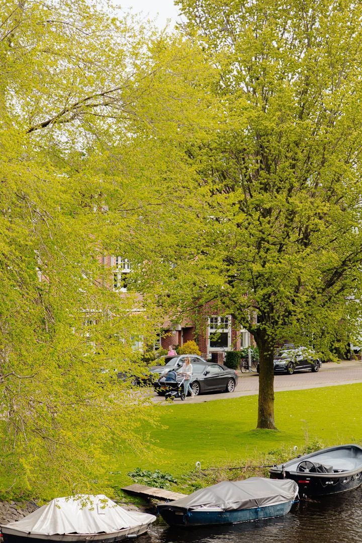 Dijsselhofplantsoen 12, Amsterdam foto-31