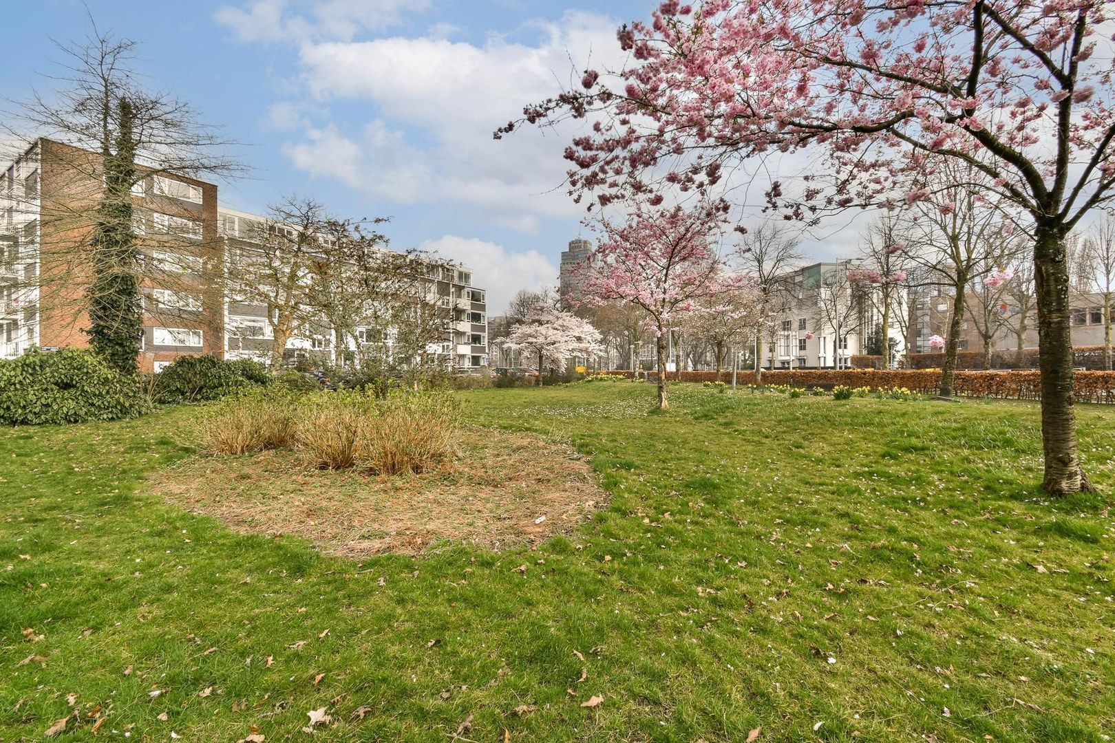 Uiterwaardenstraat 5 2, Amsterdam foto-28