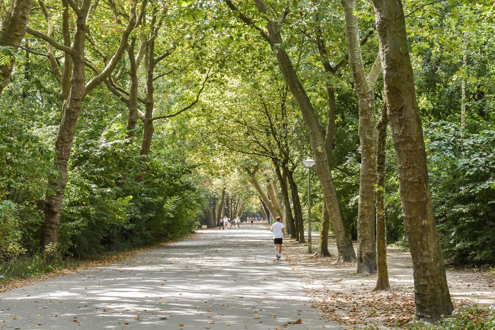 Wilhelminastraat 204 H, Amsterdam foto-56