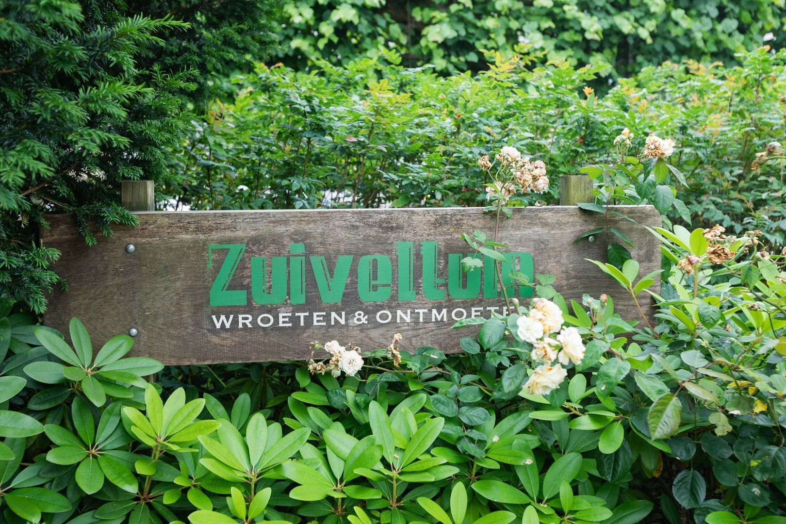 Weidestraat 14, Amsterdam foto-39