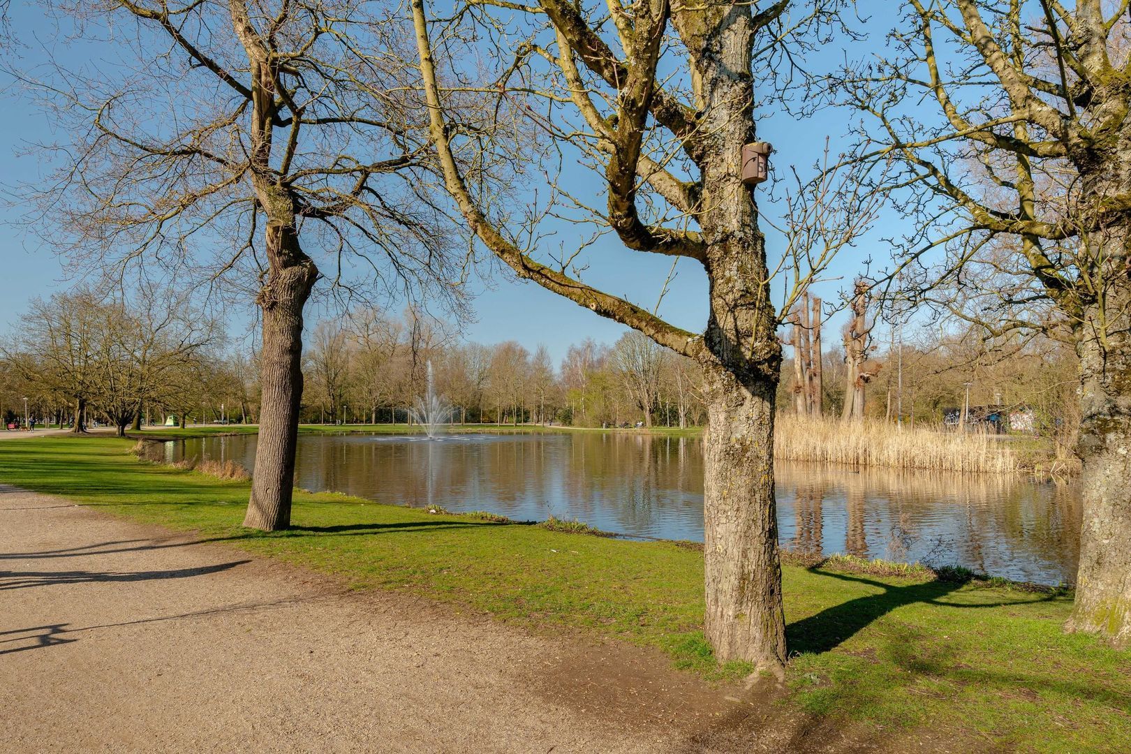 Van Eeghenstraat 117 B, Amsterdam foto-36
