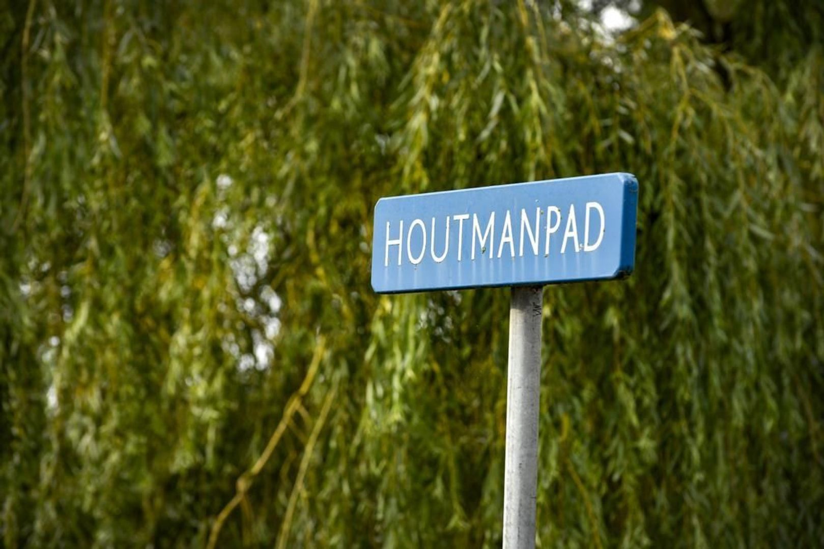 Bilderdijkstraat 40, Haarlem foto-34