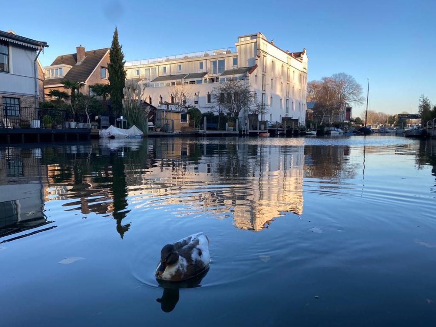 Nieuwendammerdijk 248 E, Amsterdam foto-4