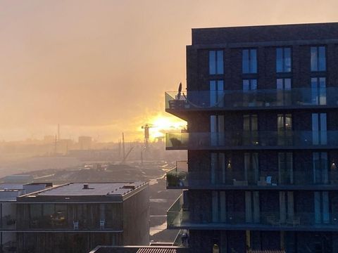 Papaverweg 99, Amsterdam foto-40 thumb