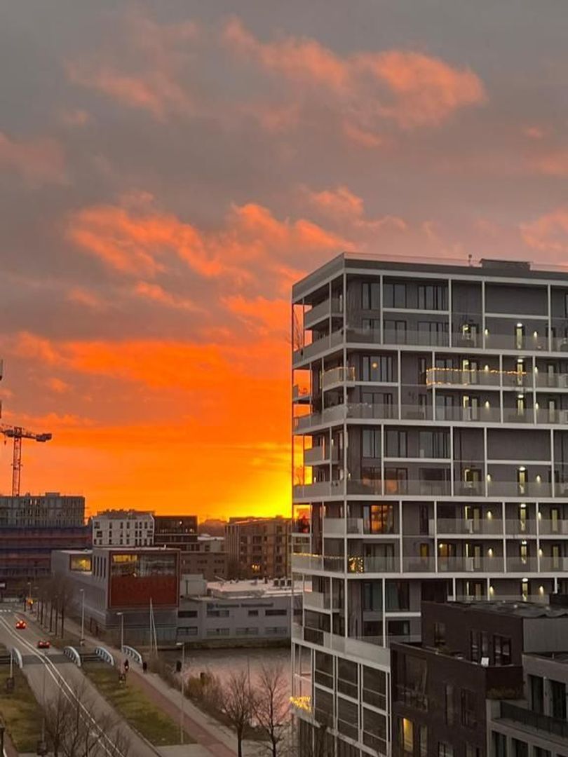Papaverweg 99, Amsterdam foto-43