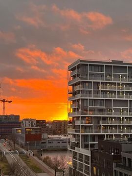 Papaverweg 99, Amsterdam foto-43 thumb