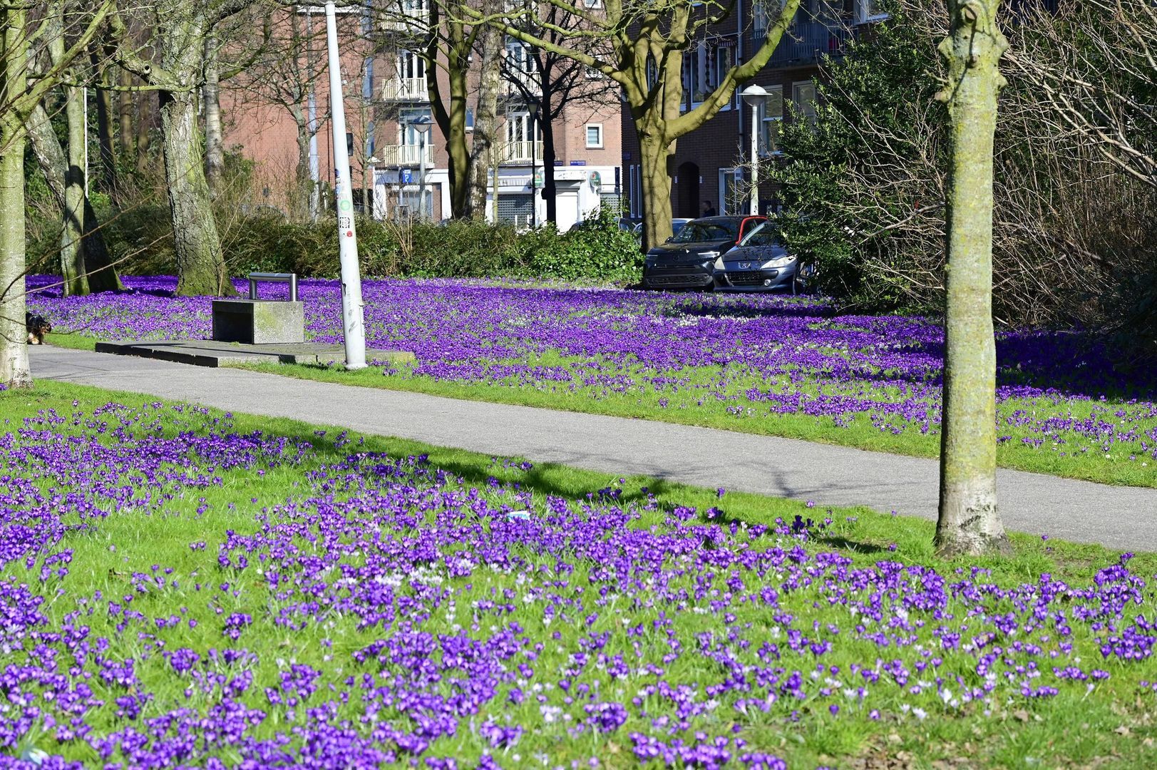 Egidiusstraat 55 2, Amsterdam foto-28