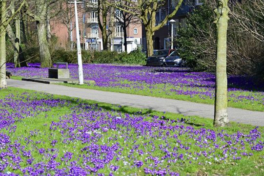 Egidiusstraat 55 2, Amsterdam foto-28 thumb