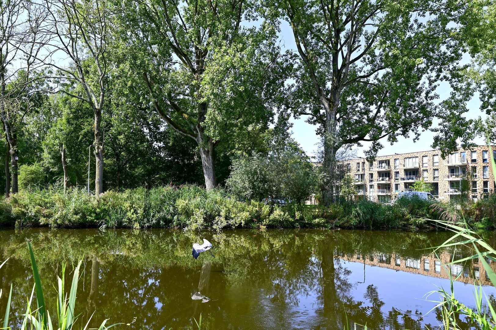 Korenbloemstraat 9, Duivendrecht foto-29