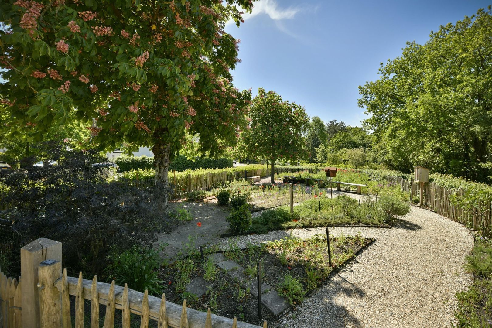Zandvoortselaan 305, Bentveld foto-33