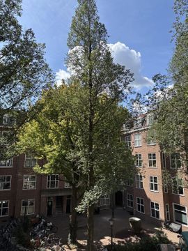 Zocherstraat 40 2, Amsterdam foto-8 thumb
