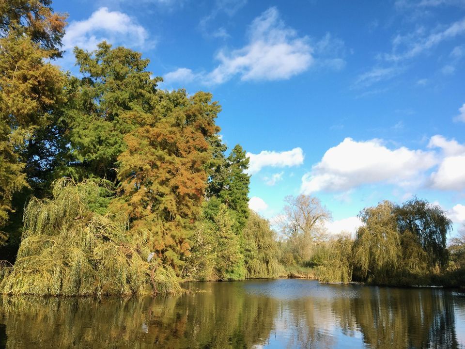 Zocherstraat 40 2, Amsterdam foto-2