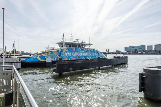 Adelaarsweg 14, Amsterdam foto-51 thumb