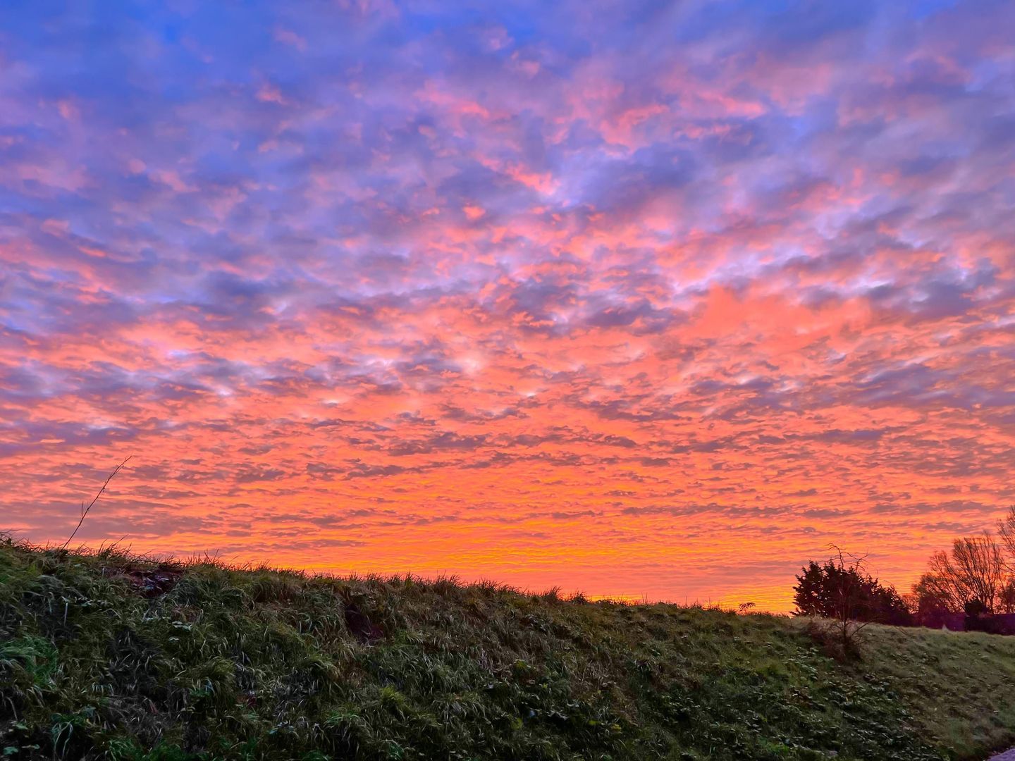 Fortwachter 34, Vijfhuizen foto-55