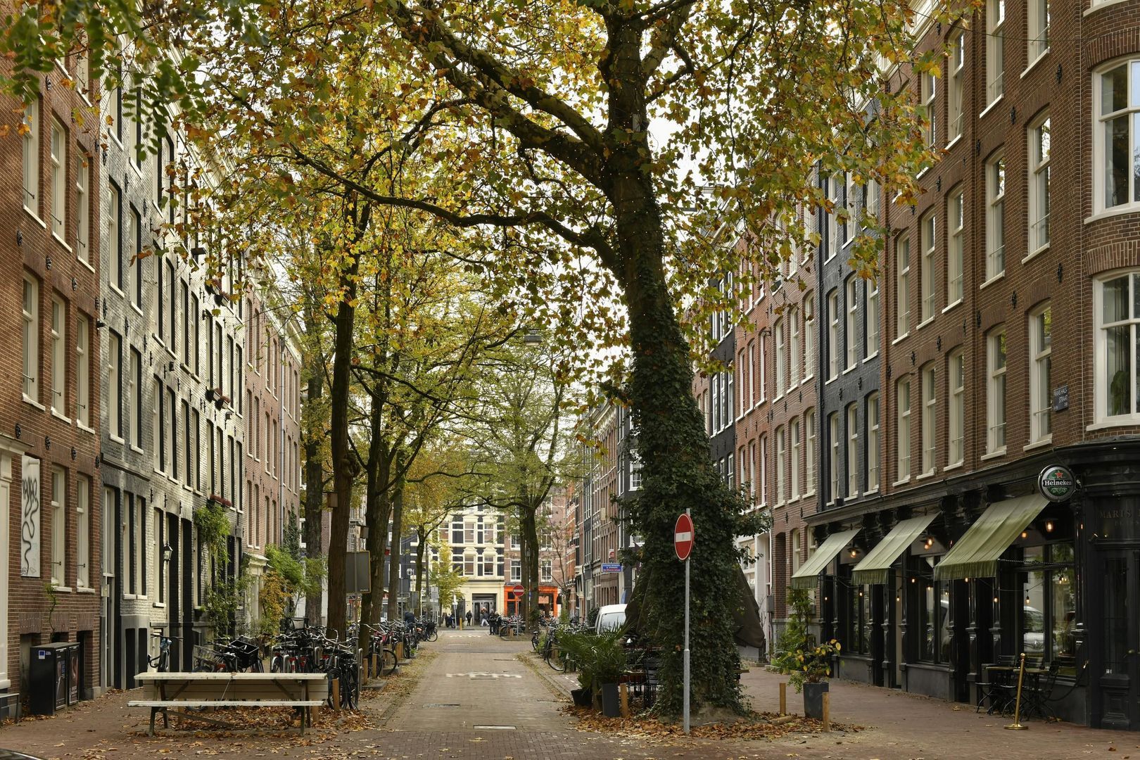 Frans Halsstraat 75 2, Amsterdam foto-6