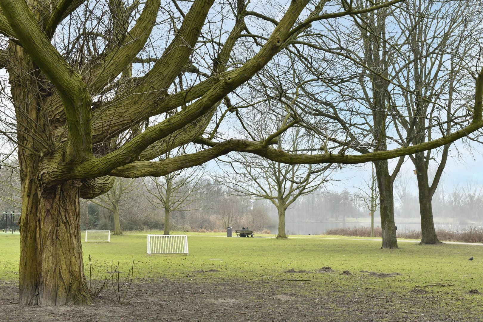 Volendammerweg 66, Amsterdam foto-20