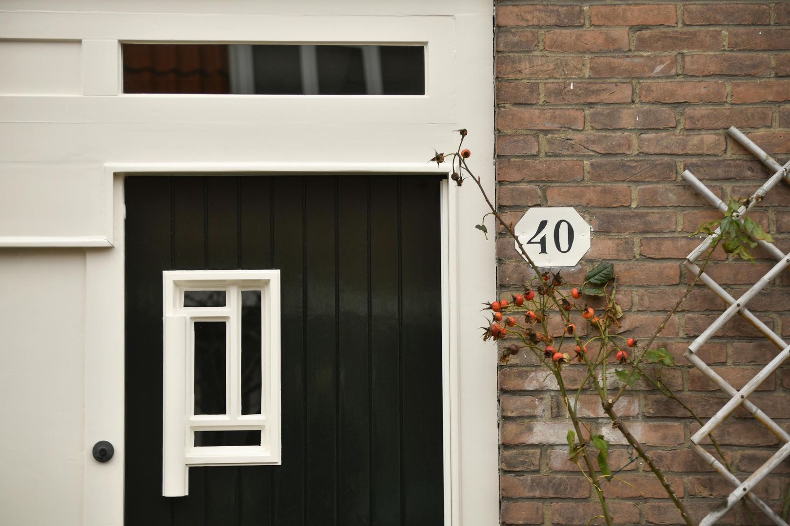 Molengouw 40, Amsterdam foto-15