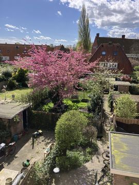 Molengouw 40, Amsterdam foto-27 thumb