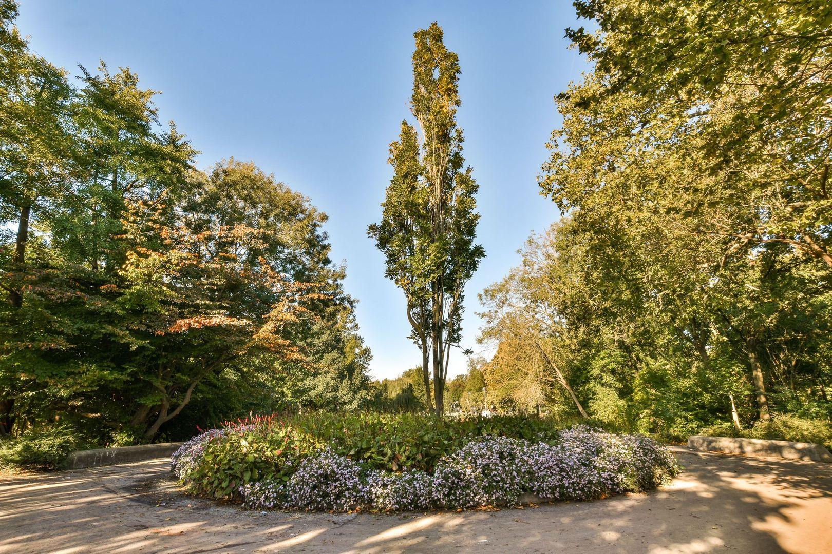 Linnaeusstraat 67 3, Amsterdam foto-39