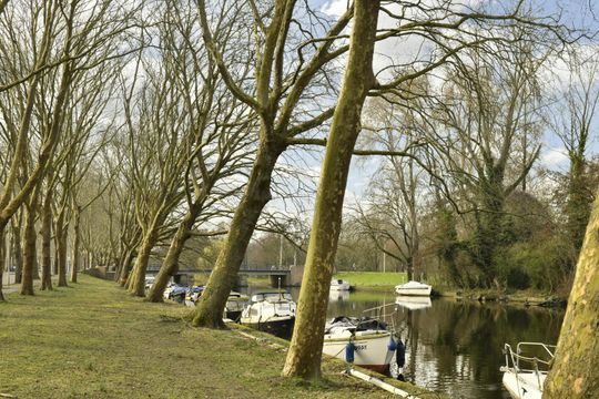 Burgemeester Van de Pollstraat 587, Amsterdam foto-23 thumb