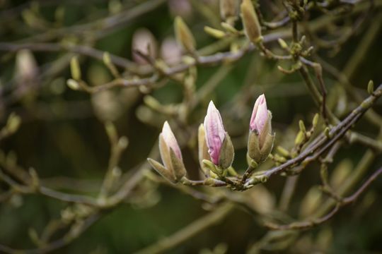 Van Eeghenstraat 187 H, Amsterdam foto-26 thumb