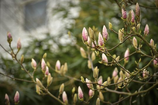 Van Eeghenstraat 187 H, Amsterdam foto-27 thumb