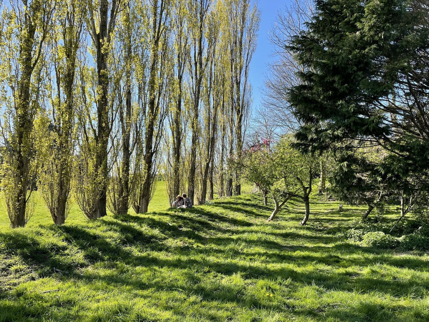 Broekermeerdijk 31, Broek In Waterland foto-46