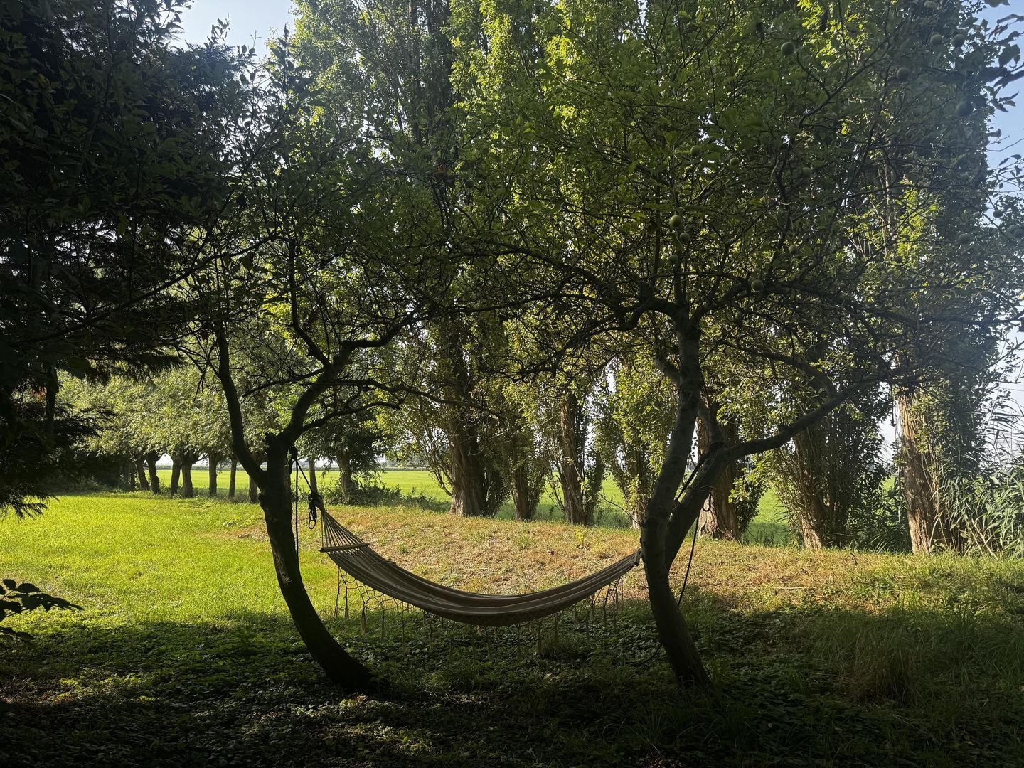 Broekermeerdijk 31, Broek In Waterland foto-49