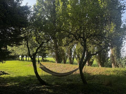 Broekermeerdijk 31, Broek In Waterland foto-49 thumb