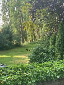 Broekermeerdijk 31, Broek In Waterland foto-47 thumb