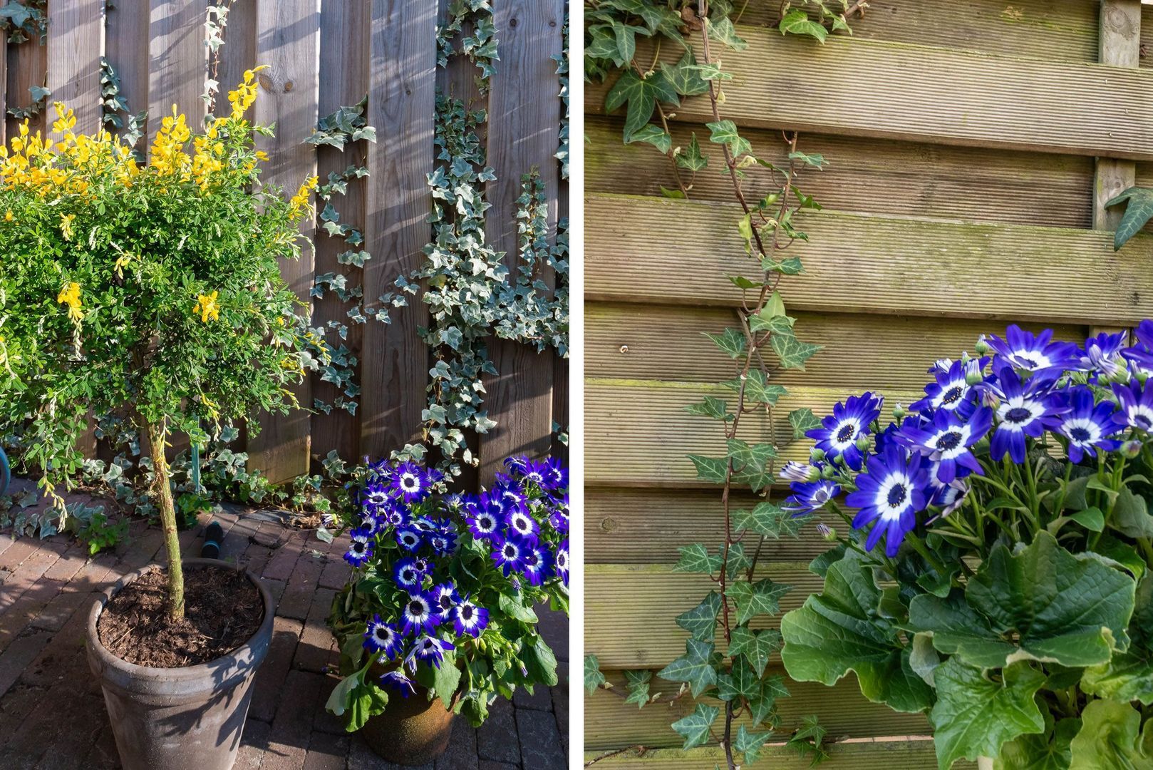 Schermerstraat 34, Amsterdam foto-33