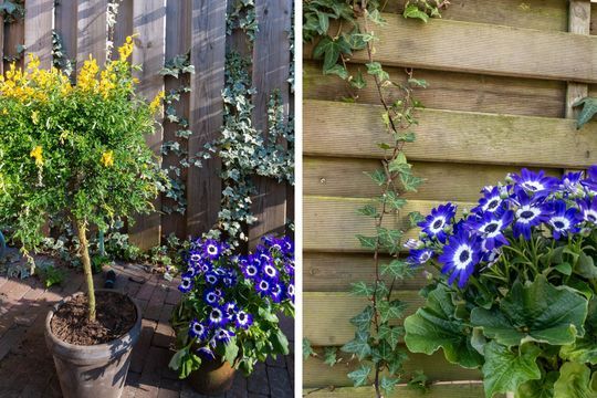 Schermerstraat 34, Amsterdam foto-33 thumb