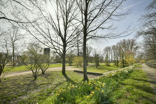 Hoendiepstraat 46 2, Amsterdam foto-27 thumb