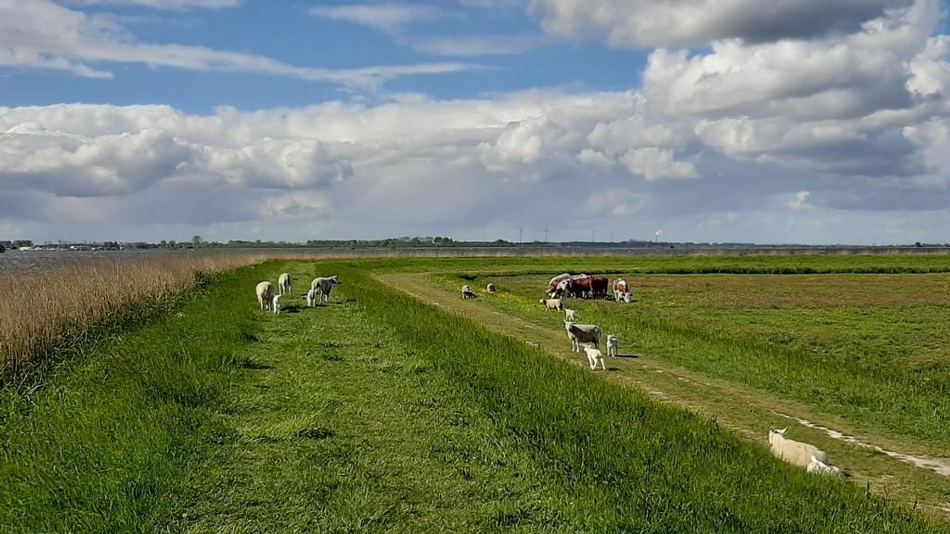 Woude 26, De Woude foto-35