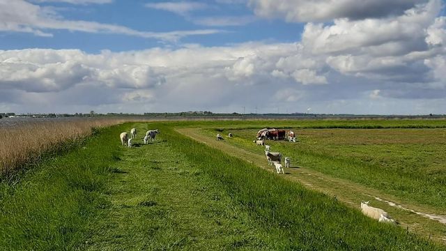 Woude 26, De Woude foto-35 thumb