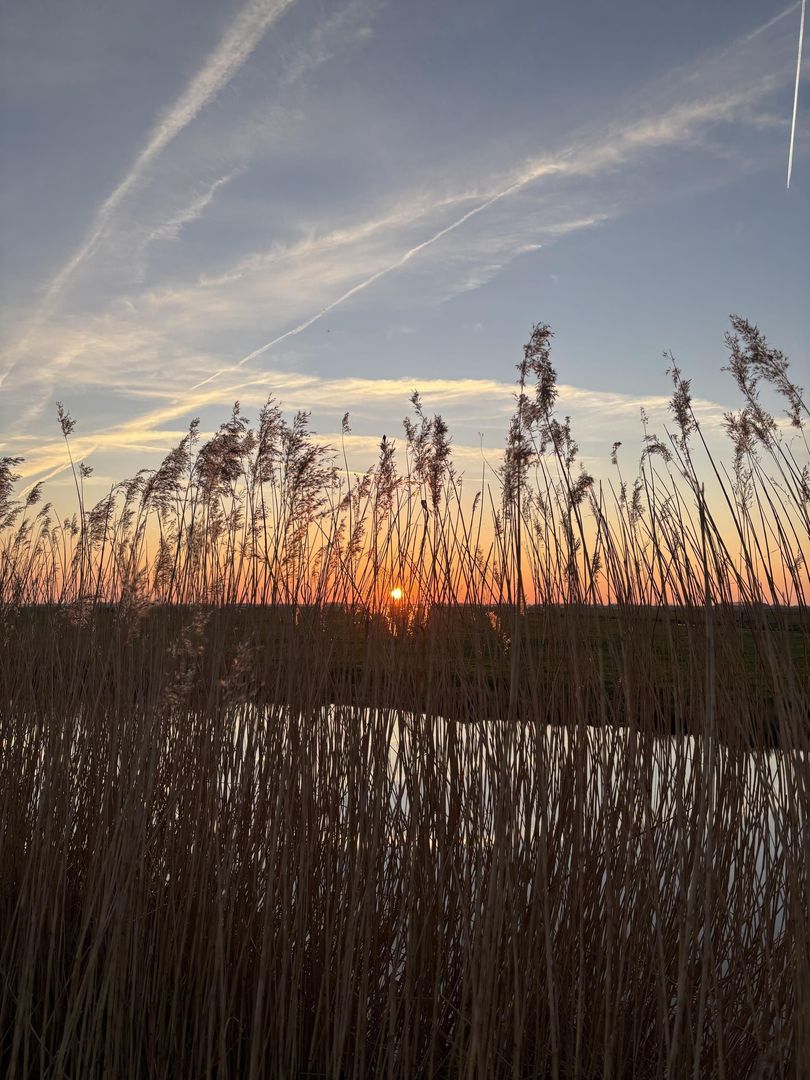 Woude 26, De Woude foto-34
