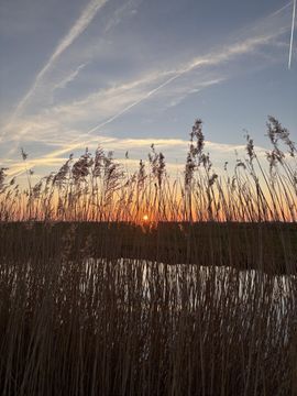 Woude 26, De Woude foto-34 thumb