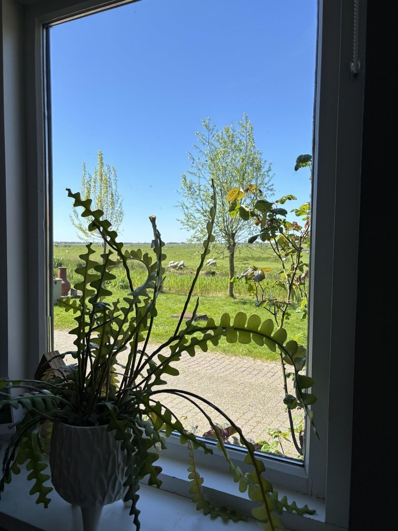 Woude 26, De Woude foto-8