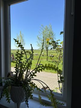 Woude 26, De Woude foto-8 thumb